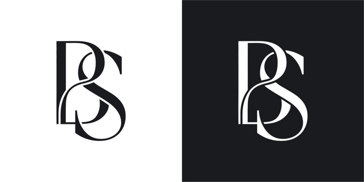 BS Initial Letter Logo Design Vector , Initial Logo Vector