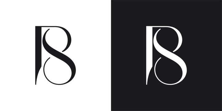 BS Initial Letter Logo Design Vector , Initial Logo Vector