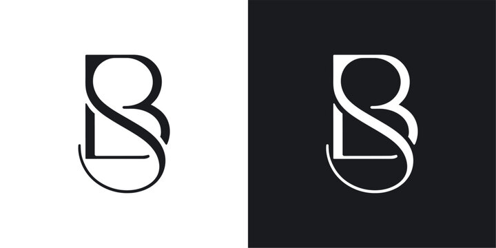 BS Initial Letter Logo Design Vector , Initial Logo Vector