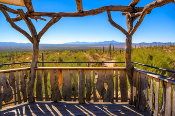 Wooden viewing platform with rustic railing overlooks vast Sonoran Desert landscape with saguaro cacti.