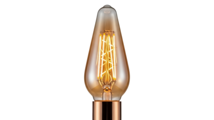 Isolated decorative Edison style light bulb on a fixture, glowing filament, technology
