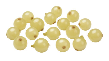 Isolated small onions, peeled and ready to cook as an ingredient in a flavorful recipe