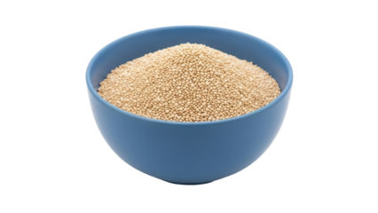 Isolated amaranth seeds in a blue bowl, healthy ingredient for vegan diet and superfood