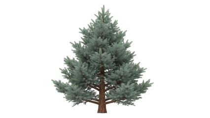 Isolated evergreen tree with a brown trunk, perfect for Christmas decorations and forestry art