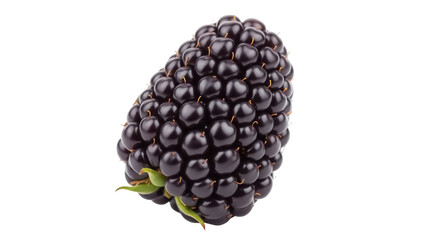 Isolated blackberry fruit with stem and small leaves, healthy, ripe fresh food concept