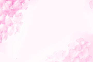 Fresh pink rose petals on white background. Space for text. Soft pink background made of rose flower petals.