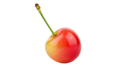Isolated Rainier cherry, a sweet fruit with a thin skin and a yellow blush with red spots