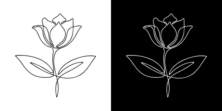 Minimalist Line Art Flower Design on Black and White Backgrounds