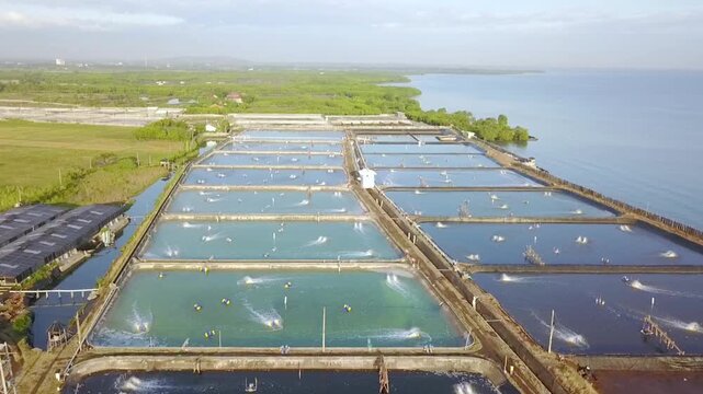 Aerial view of aquaculture fish farm near coastal landscape