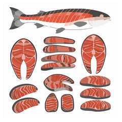 Salmon Sushi Meat Vector Bundle Illustration of Sliced Pieces