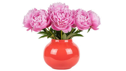Isolated pink peonies in orange vase – beautiful flower arrangement, floral, home decor