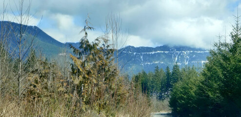 morning mist over the mountains