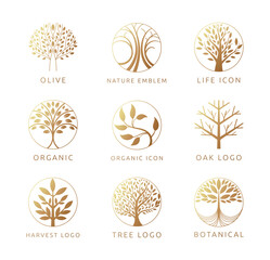 Golden tree logo set. Circular emblems with stylized branches and leaves, identity business, nature, growth and organic sign, elegance minimal lines. Vector gradient flat style isolated illustration