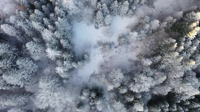 Malnik, Muszyna, zima 2025.