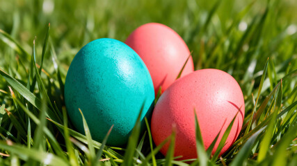 High contrast Easter design with teal and coral painted eggs in grass, vibrant spring colors, modern commercial look and spacious copy area
