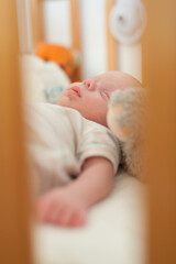 A baby lies peacefully in a crib with a soft toy nearby. The scene shows the gentle, warm atmosphere of a nursery in the afternoon.