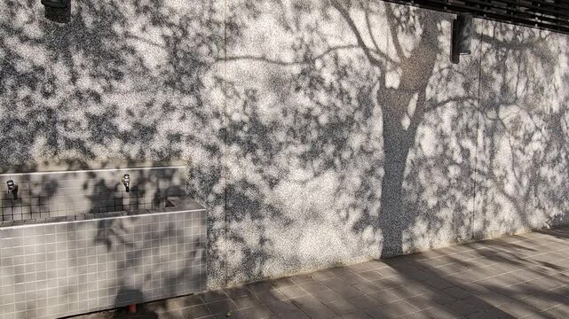 Beautiful tree leaves shape gentle sunlight, shadows glowing on concrete rock wall texture in the afternoon background&mdash;dappled light flickering in calm and relaxing atmosphere, peace zen mind feelings