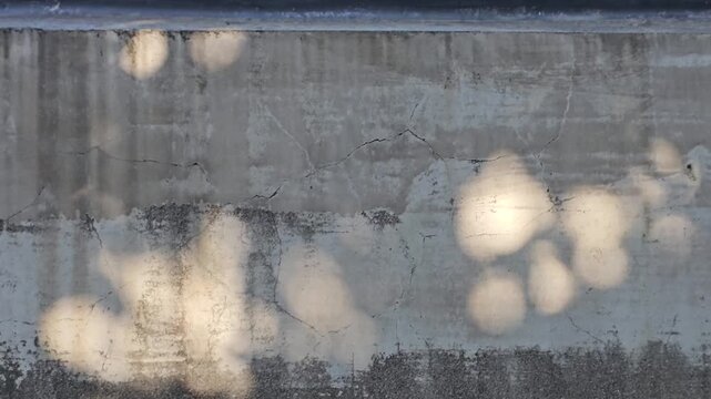 Beautiful tree leaves shape gentle sunlight, shadows glowing on concrete rock wall texture in the afternoon background&mdash;dappled light flickering in calm and relaxing atmosphere, peace zen mind feelings