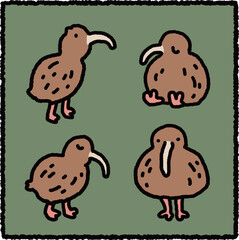 Cute Kiwi Bird Cartoon Illustration Set