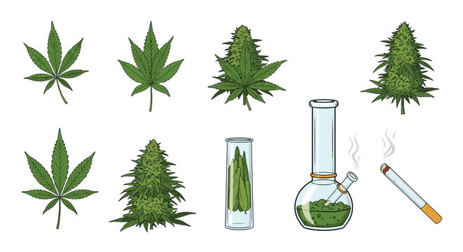 Various cannabis related items including several green leaves buds a glass bong a joint and a medical container.