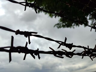 Silhouette of barbed wire fence