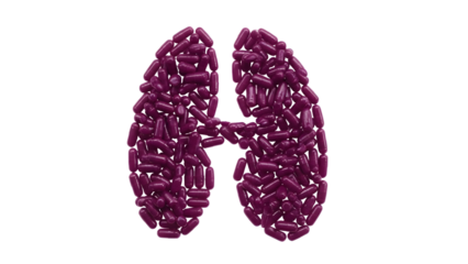 Human kidneys shape made from purple medical capsules on white background, health and medicine concept, perfect for pharmaceutical and healthcare themes
