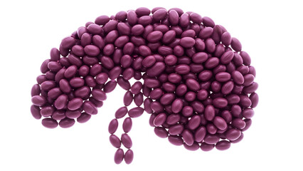 Purple kidney beans arranged in the shape of a human kidney isolated on white background, creative food art for health and nutrition concepts
