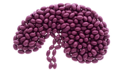 Purple kidney beans arranged in the shape of a human kidney isolated on white background, creative food art for health and nutrition concepts