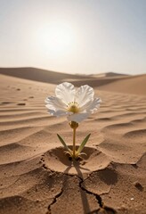 Bloom Against the Silence