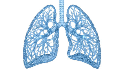 3D rendered illustration of human lungs in light blue, representing respiratory system anatomy and health, perfect for medical presentations and educational content