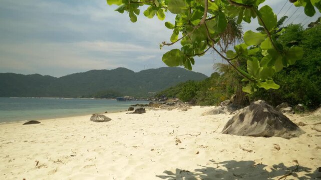Quiet beach on Cham Island with pristine sand and lush greenery