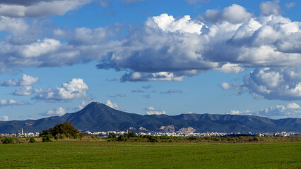 Zone humide dans la banlieue de Tunis