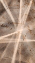 Cracked coral concrete, sunlight on concrete, coral concrete, concrete floor, concrete background, concrete texture (2)