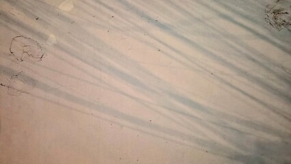 sand dunes on the beach