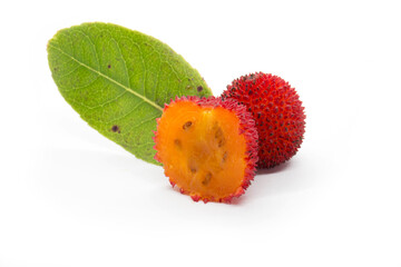 Obraz premium Arbutus and half isolated on white background