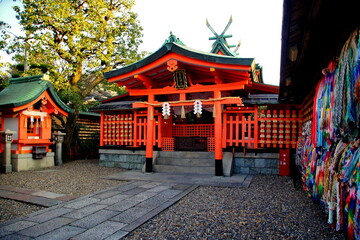 Fototapeta premium 京都 伏見稲荷大社 東丸神社