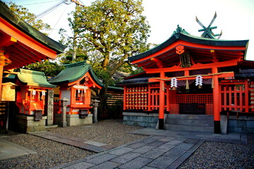 Fototapeta premium 京都 伏見稲荷大社 東丸神社