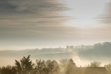 Sunbeams in the trees in the morning