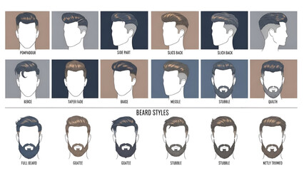 Beard Styles Illustration Showcases Various Facial Hair Options