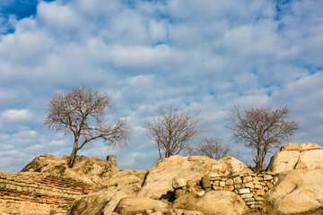 Trees on hill and cloudy sky
