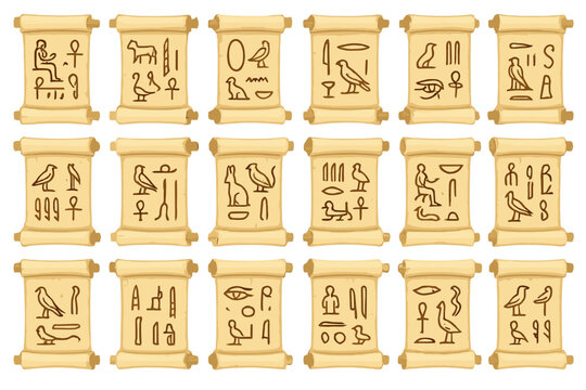 Collection of ancient scrolls displaying Egyptian hieroglyphs found in a museum setting