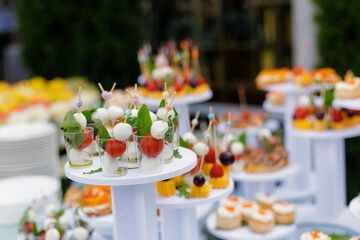 Refined small bites decorated with fresh herbs and colorful