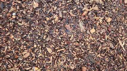 Wood chips, birch chips, wood texture, wood, wood chip texture, simple wood