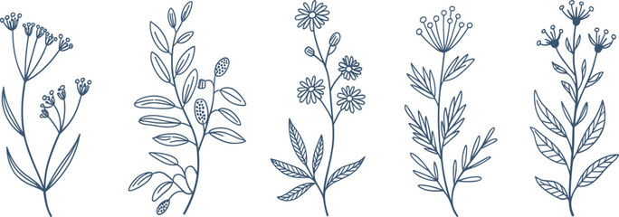 Detailed Blue Line Art Floral Branch Vector Illustration Set Featuring Minimalist Botanical Wildflower Graphic Designs