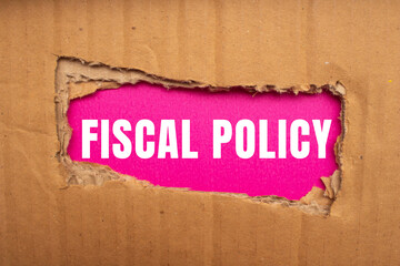Fiscal Policy message written on ripped torn paper background. Conceptual Fiscal Policy symbol. Copy space.