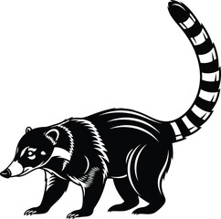 Raccoon Wildlife Illustration Vector