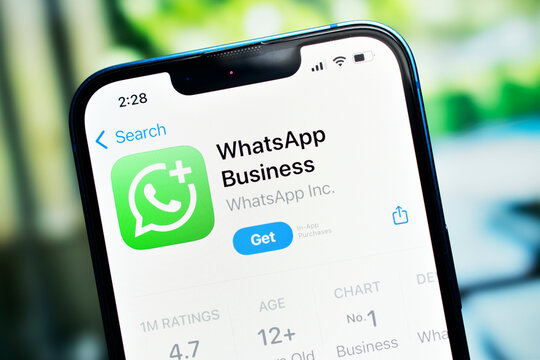 whatsapp business app on smartphone 