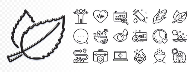 Mint leaves, Corn and Leaf line icons for web app. Glare of light effect. Message icon. Pack of Dumbbells workout, Dating, Cardio training pictogram icons. Vector © blankstock
