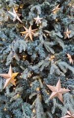 Christmas tree, Christmas, Christmas tree detail view, Christmas tree star ornament, Christmas tree string lights