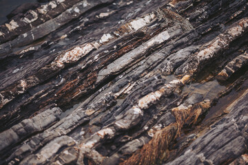 Close view of aged wood with gray and brown colors resting on a rocky area near the water. There are signs of decay and growth on the wood from being exposed to the elements